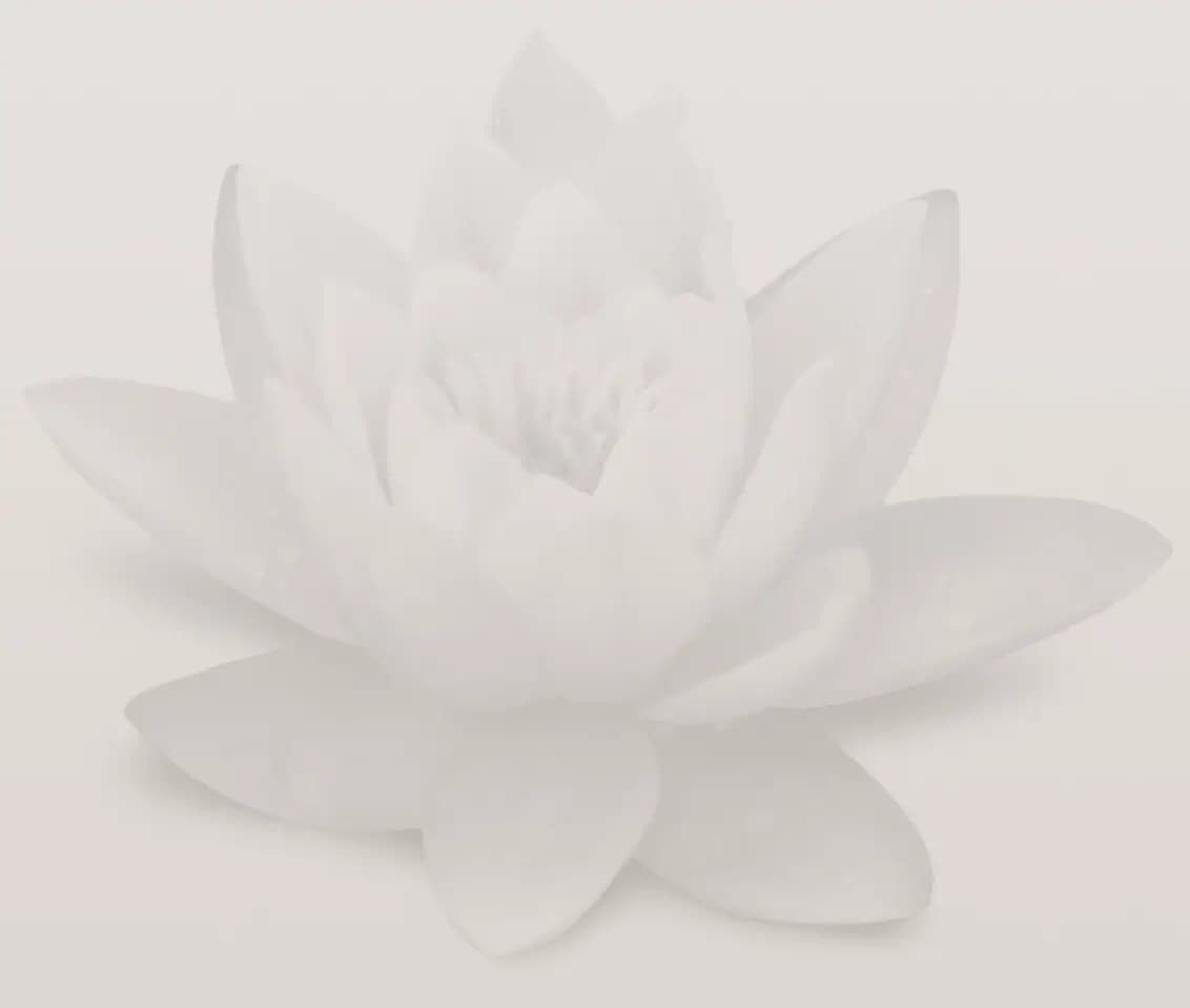Lectures on the Chakras